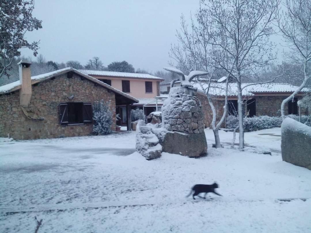 Hotel Il Nido Dell'Aquila Villanova Strisaili Bagian luar foto